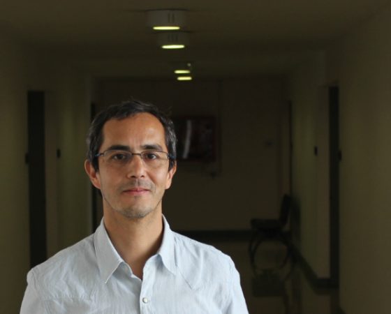 David Pavez Torrealba