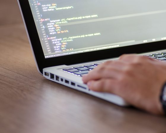 Desarrollo de Software
