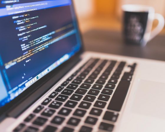 Desarrollo de Software